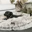 Kentucky Dogwear Dog Bed Comfort Donut Brown