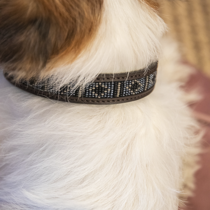 Kentucky Horsewear Dog Collar Handmade Pearl Silver-1
