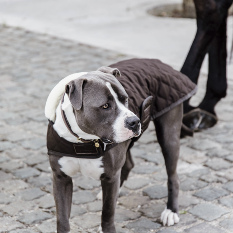 Kentucky Dogwear Coat Brown-2