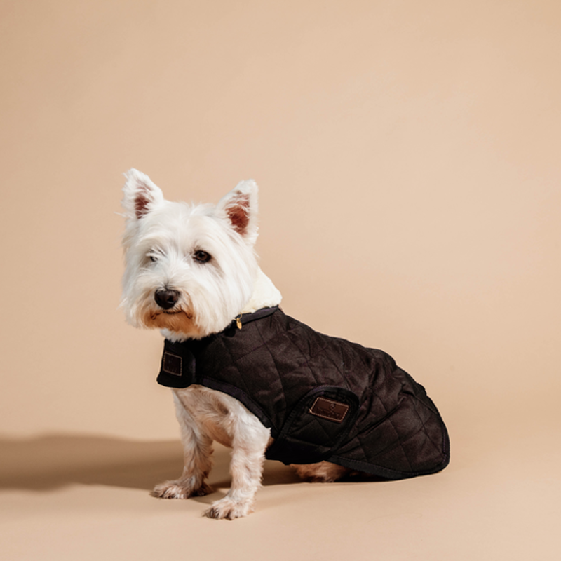 Kentucky Dogwear Coat Brown-1