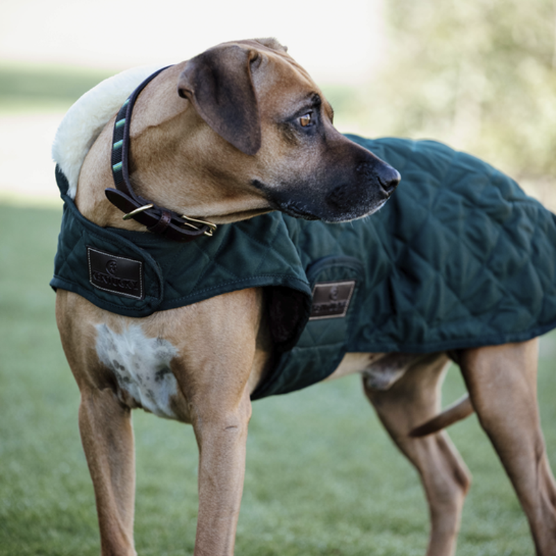 Kentucky Dogwear Dog Coat Dark Green-3