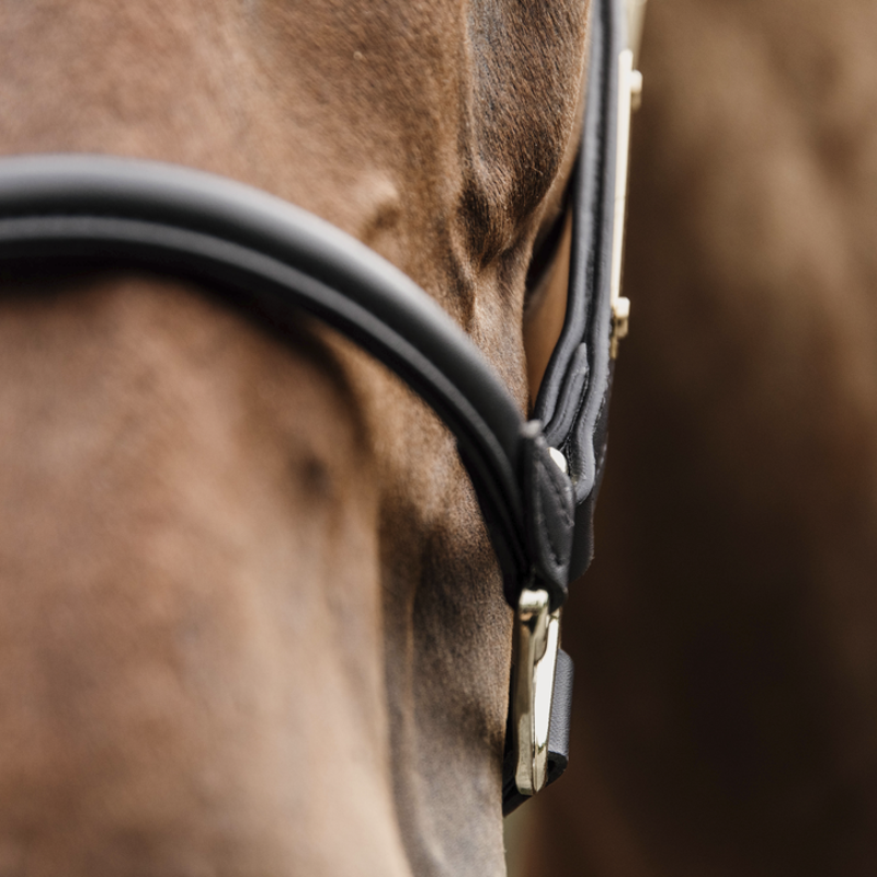 Kentucky Horsewear Anatomic Leather Halter Black-3