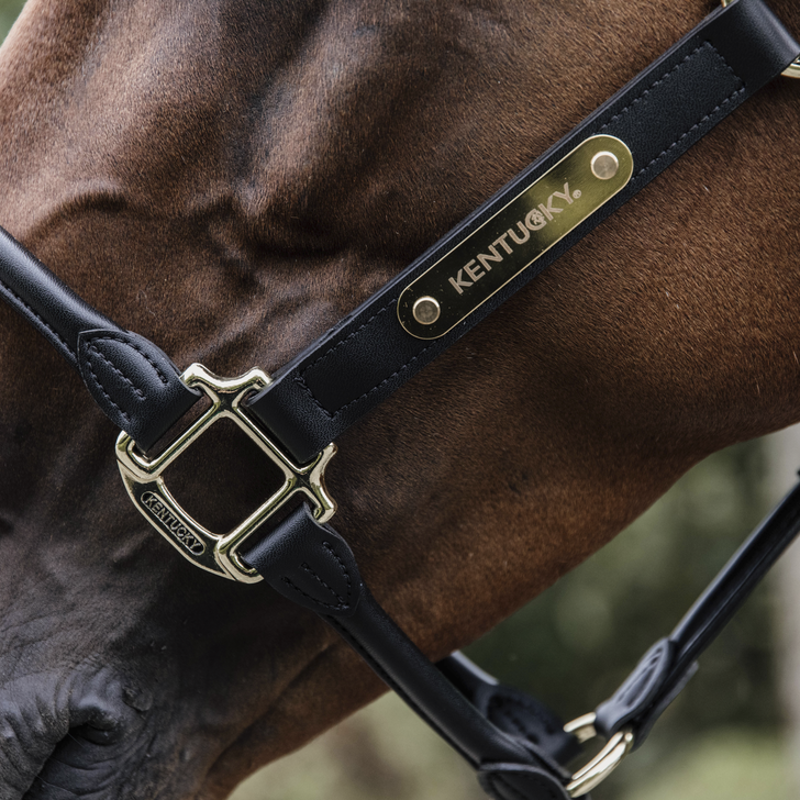 Kentucky Horsewear Anatomic Leather Halter Black-2