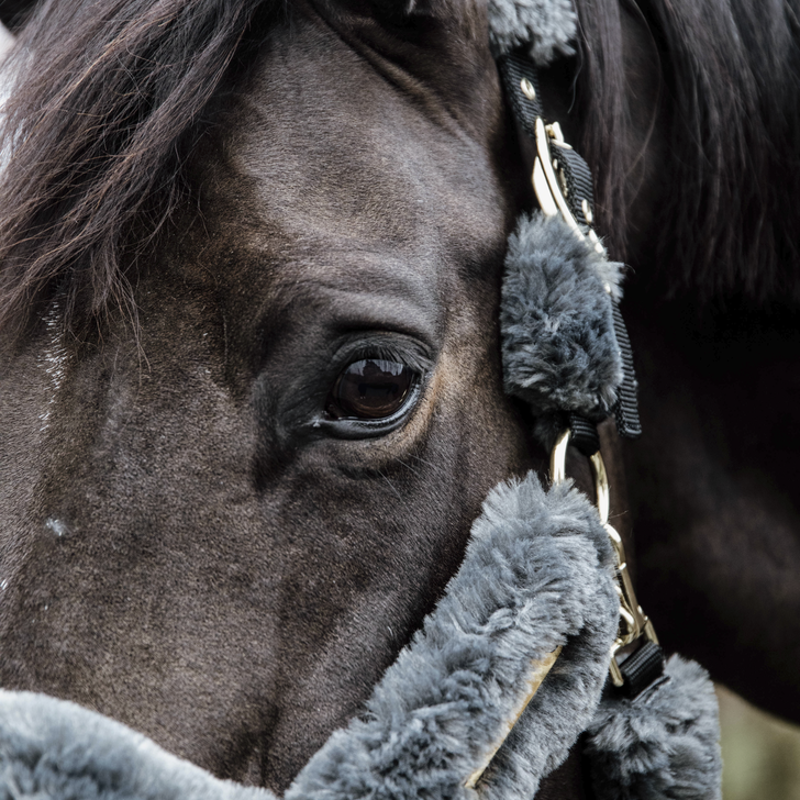 Kentucky Horsewear Sheepskin Shipping Halter Grey-3