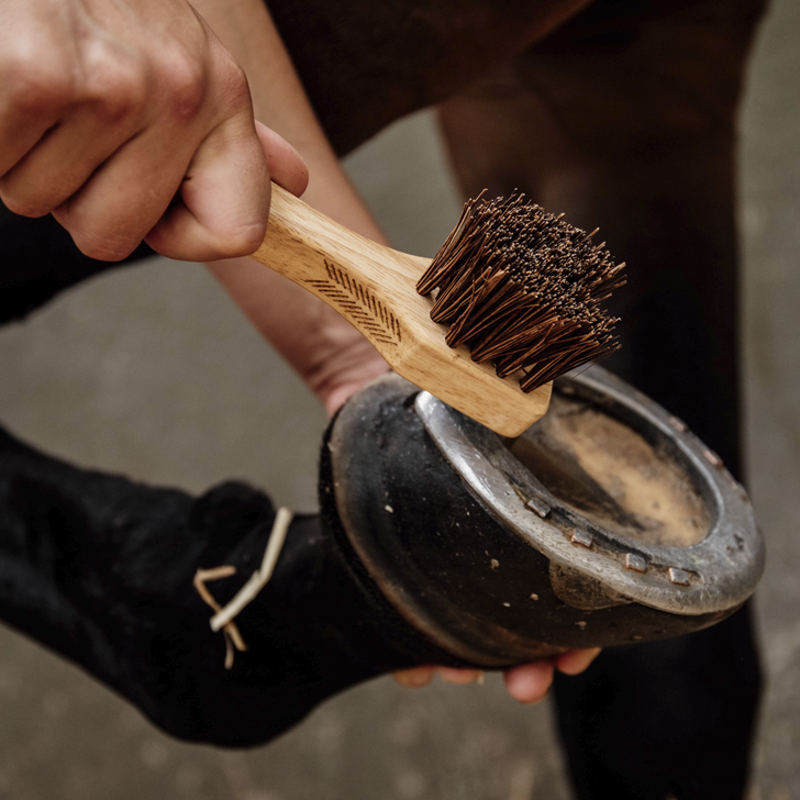 Grooming Deluxe Hoof Pick-3