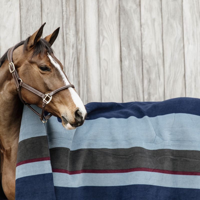 Kentucky Horsewear Heavy Fleece Rug Square Navy Stripes-1