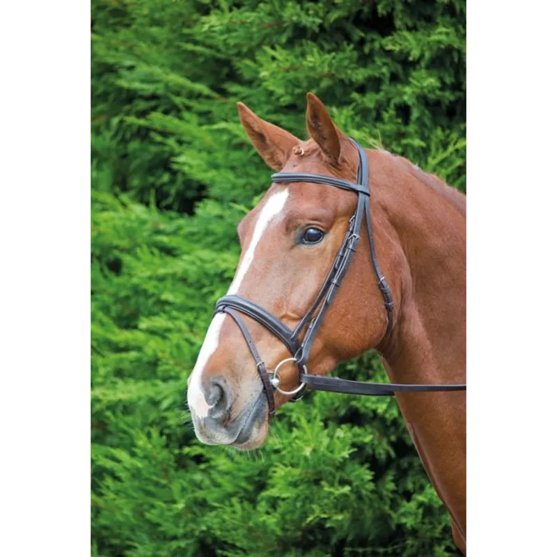 Shires Velociti GARA Comfort Fit Bridle