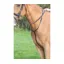 Shires Velociti Gara Running Martingale Black
