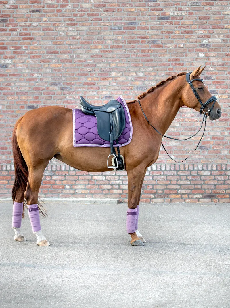 PS of Sweden Signature Saddle Pad Dressage Full Hortensia-2
