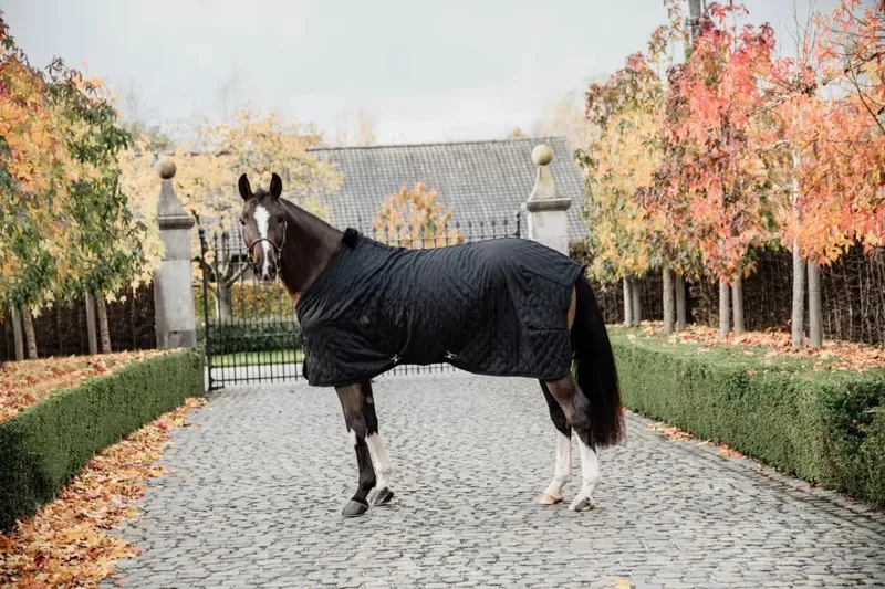 Kentucky Horsewear Stable Rug 0g Black-4