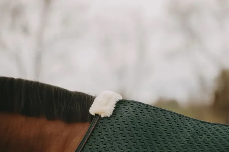 Kentucky Horsewear 4D Spacer Cooler Sheet Pine Green-4