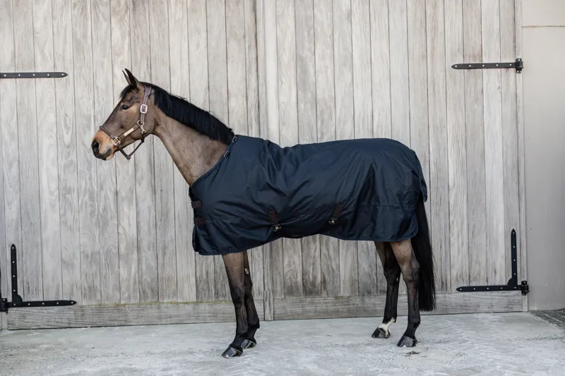 Kentucky Horsewear Turnout Rug All Weather Waterproof Classic Navy 300g