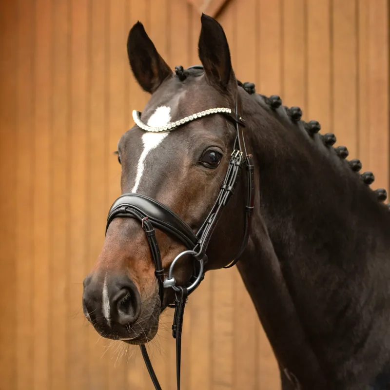 Passier Favourite powered by Ingrid Klimke Snaffle Bridle Havana