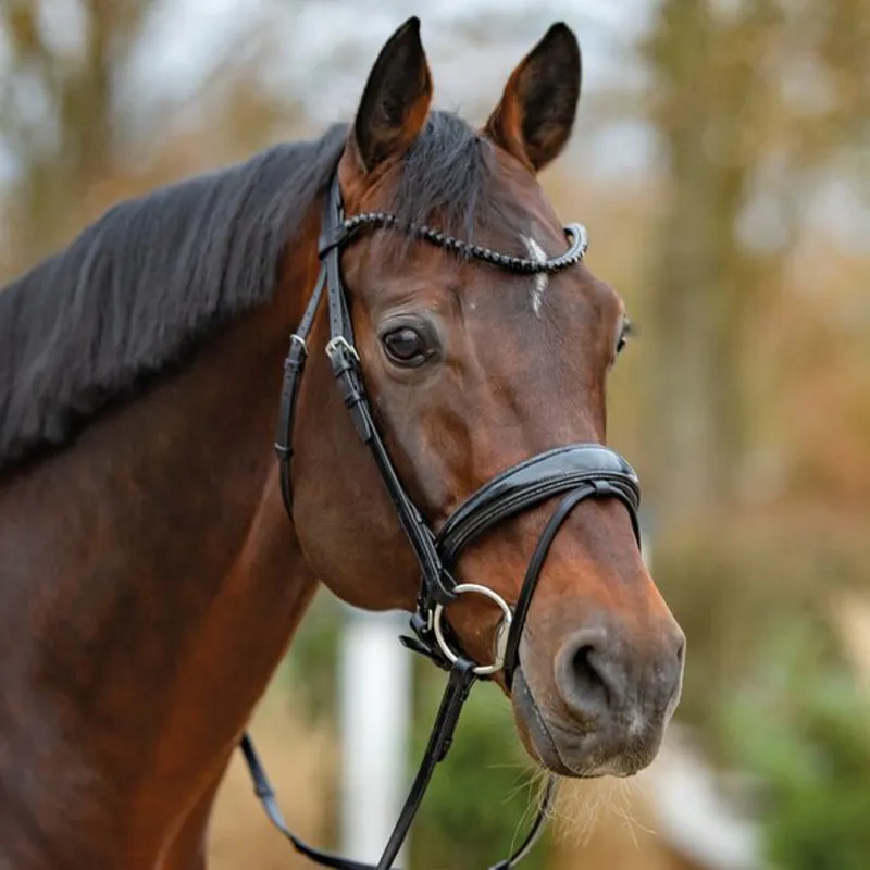 Passier Noblesse Snaffle Bridle - Black