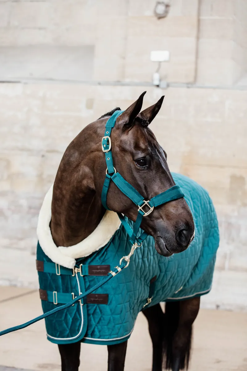 Kentucky Horsewear Show Rug Velvet Emerald-2