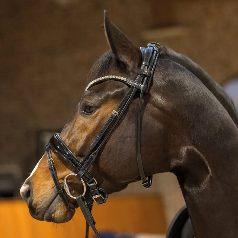 Passier Harmony Rolled Bridle - Black
