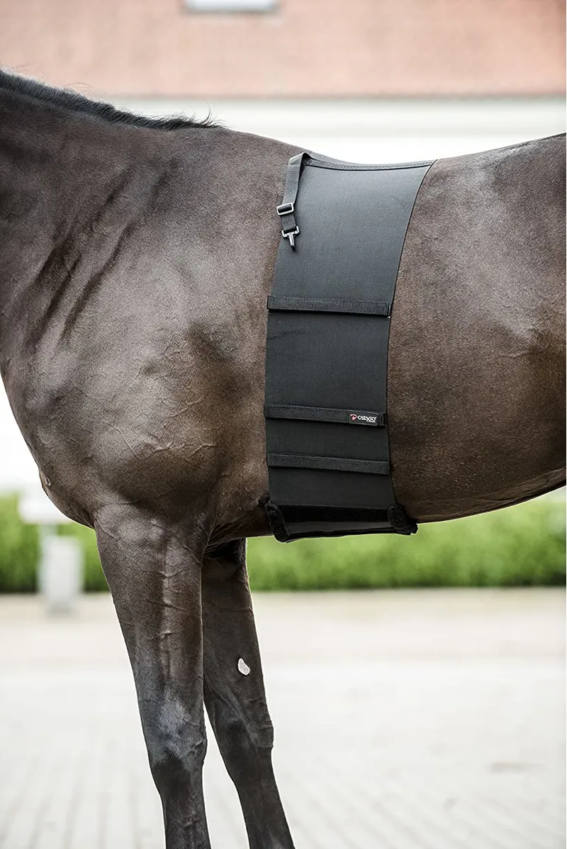 Catago Body Shield-1