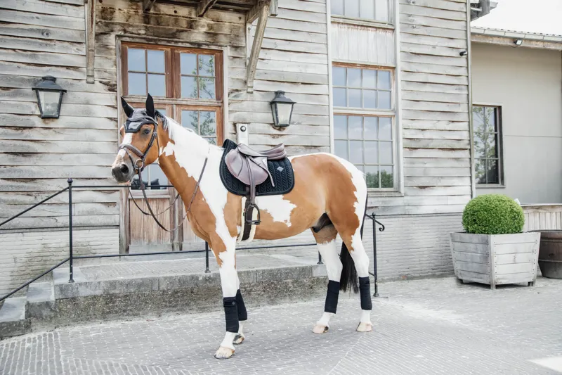 Kentucky Horsewear Saddle Pad Velvet Pearls GP Black-4