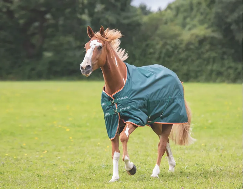 Shires Typhoon Lite Turnout Rug - Green
