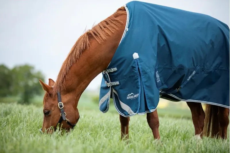 Shires Highlander Original 50 Turnout Rug Ocean-1