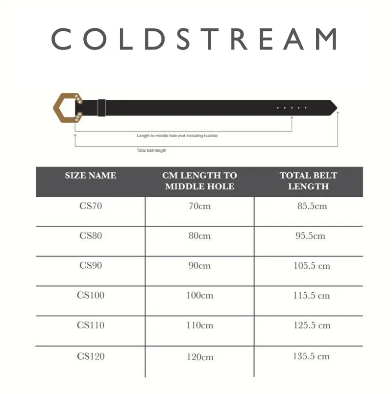 Coldstream Hutton Diamante Leather Belt - Black/Gold-4