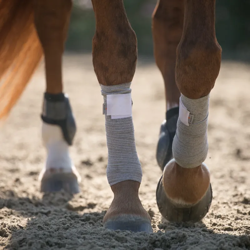 Incrediwear Equine Circulation Exercise Bandages Grey