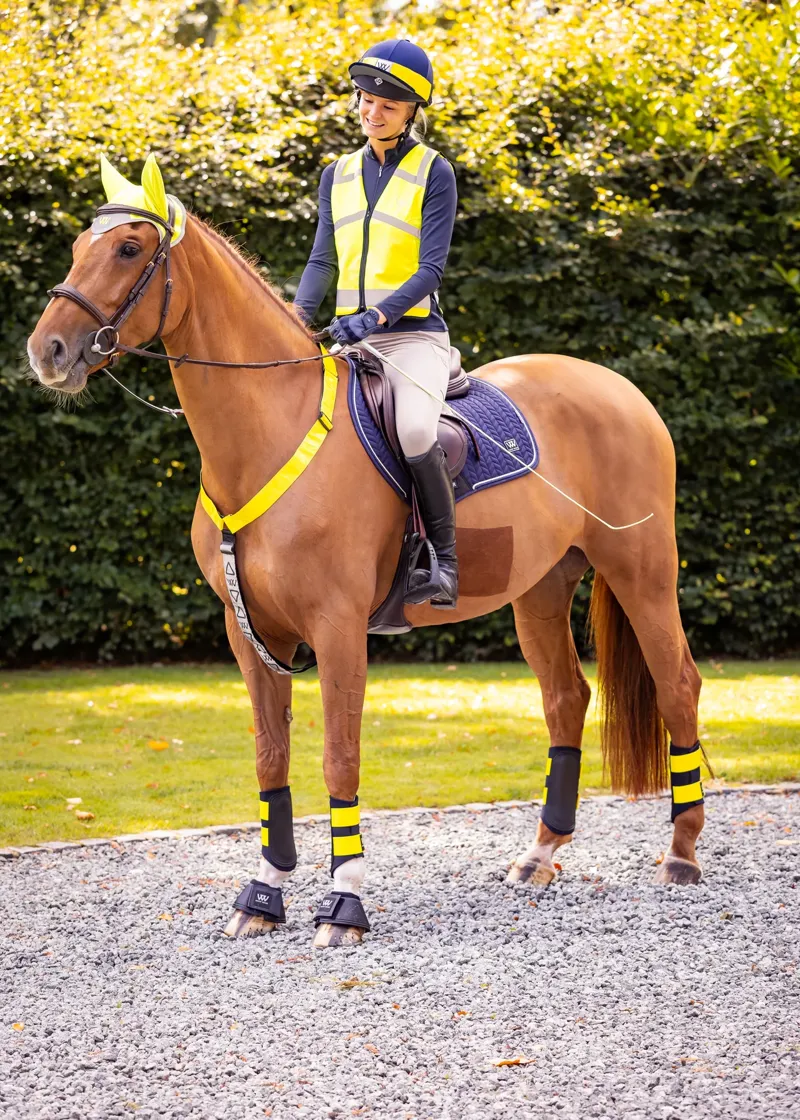 Woof Wear Hi Vis Riding Vest - Yellow-5