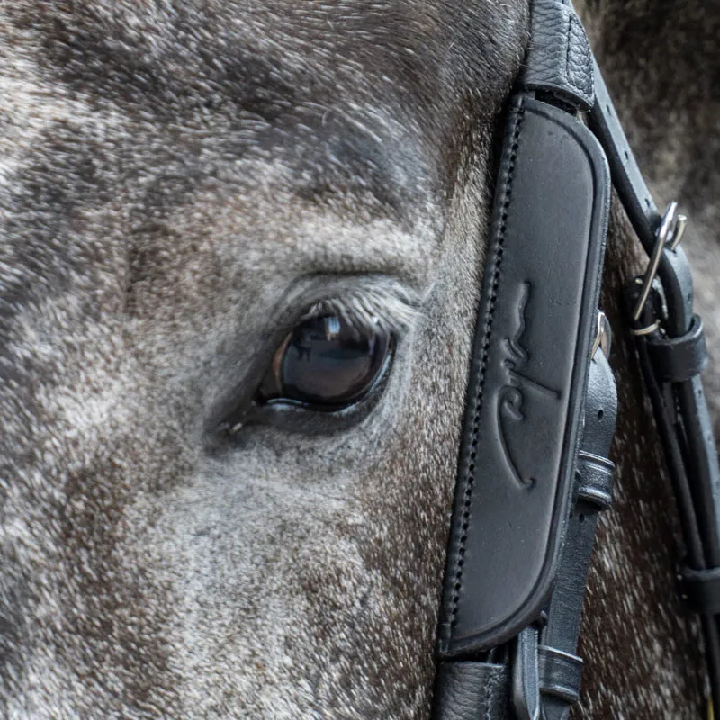 Dy'on Leather Horse Blinkers Black