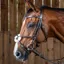 Dy on Working Collection Grackle Noseband Bridle Brown 