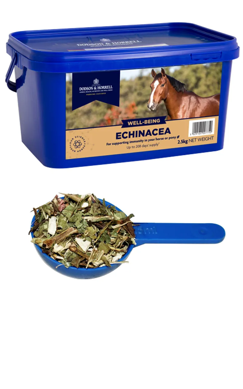 Dodson and  Horrell Echinacea 1Kg