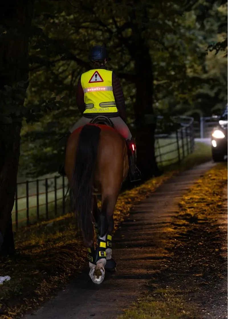 Woof Wear LED Hi Vis Riding Vest - Yellow-4
