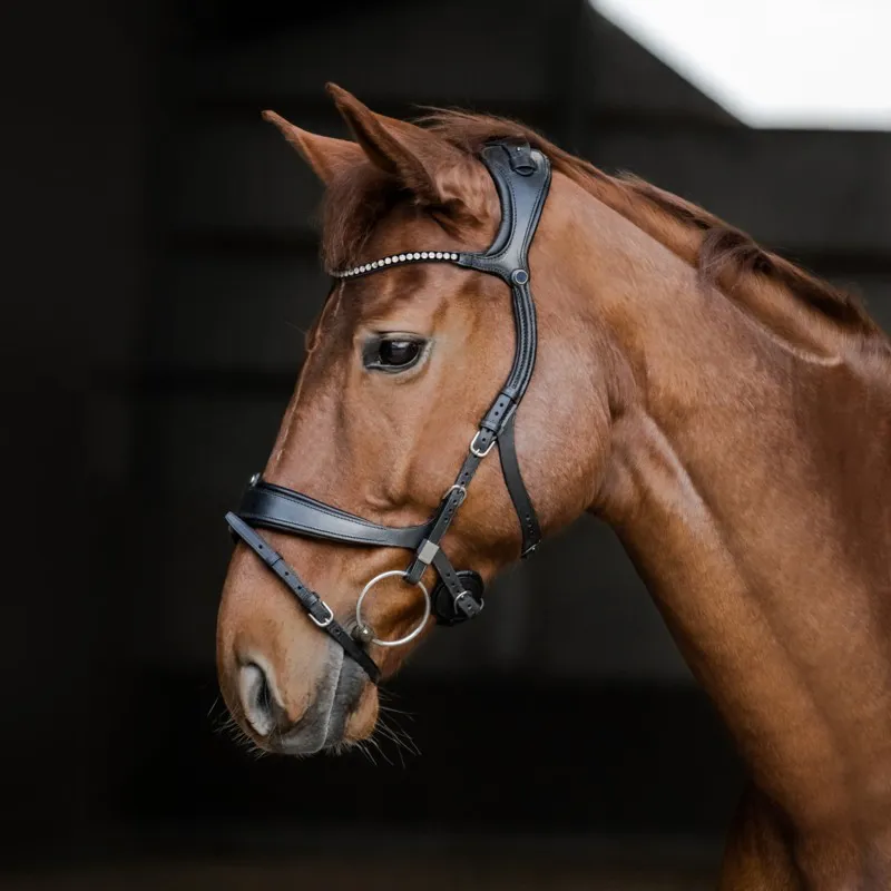 Stubben Freedom II Snaffle Bridle TRIAL-1