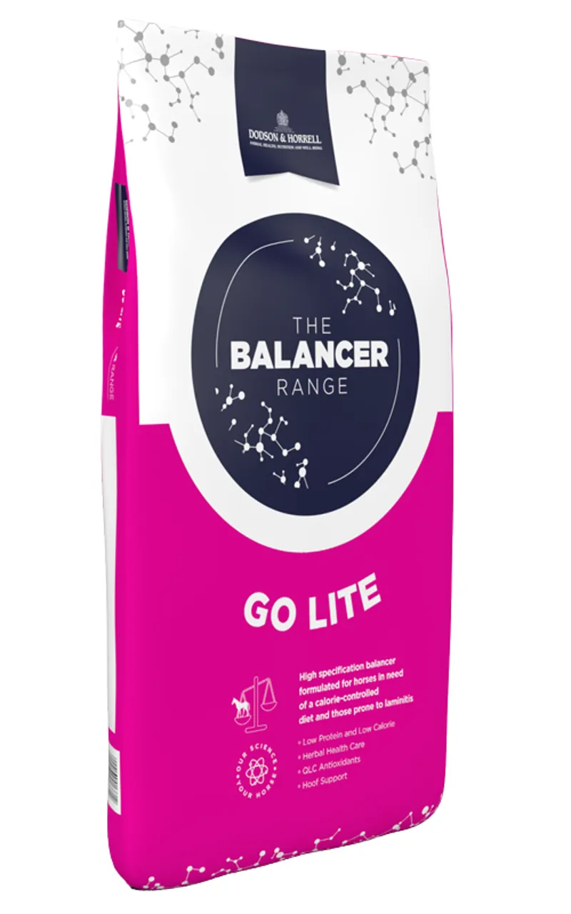 Dodson and Horrell Go Lite Balancer 15kg
