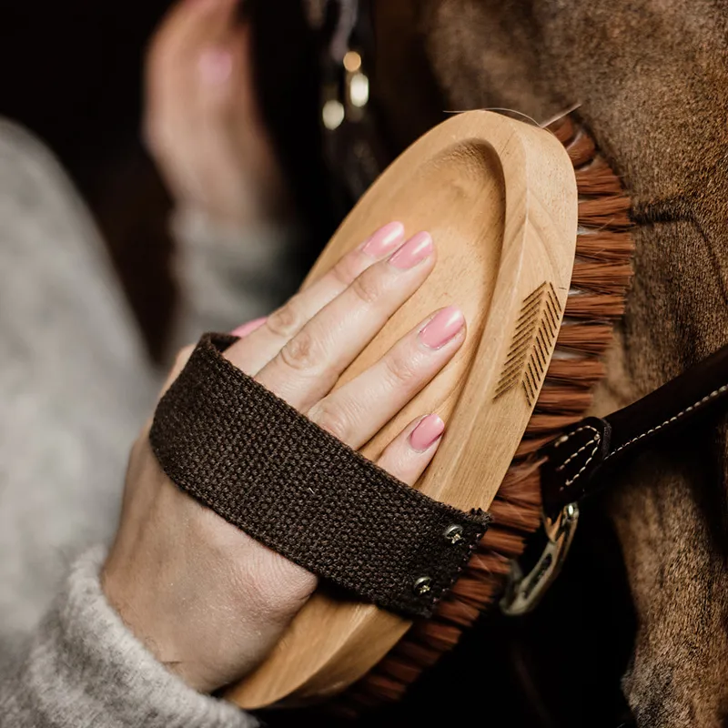 Grooming Deluxe Oval Soft Body Brush-4