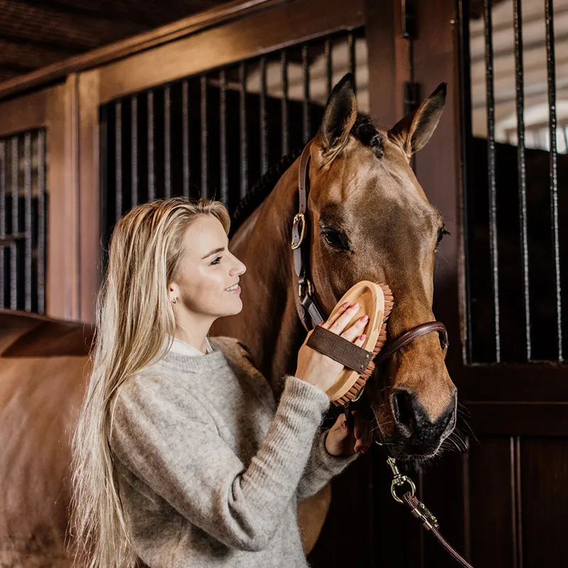 Grooming Deluxe Oval Soft Body Brush-3