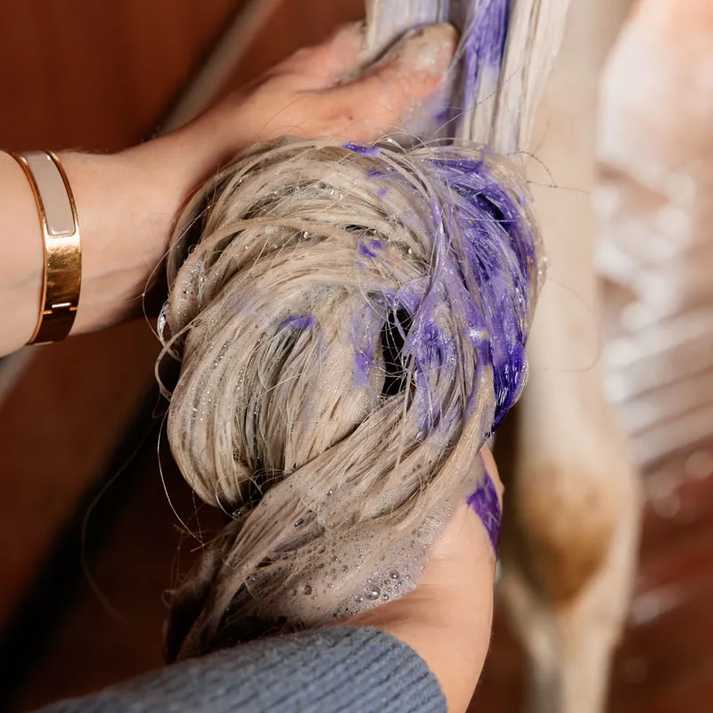 Grooming Deluxe Almond Gloss Purple Shampoo 500ml-1