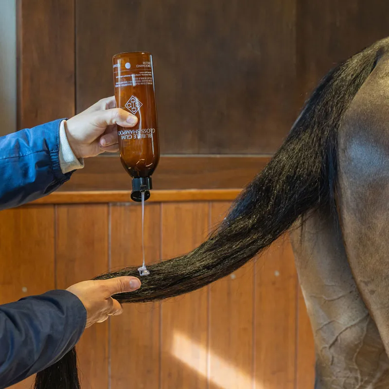 Grooming Deluxe Bubble Gum Gloss Shampoo 500ml-1