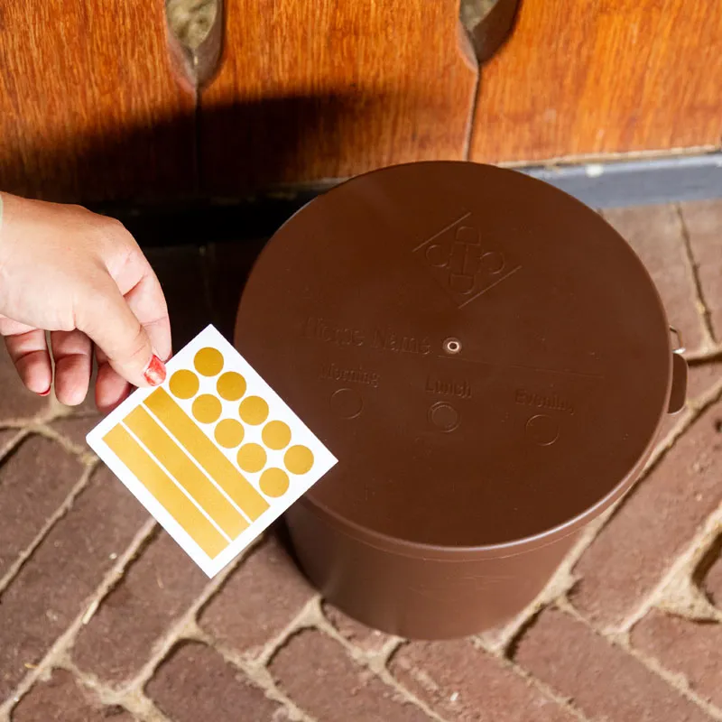 Grooming Deluxe Bucket With Lid 5L - Old Rose-3