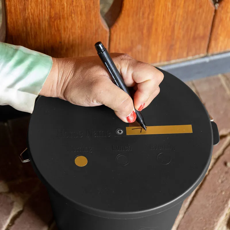 Grooming Deluxe Bucket With Lid 5L - Old Rose-2