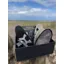 Eqclusive White Grey and Coloured Horse Grooming Set