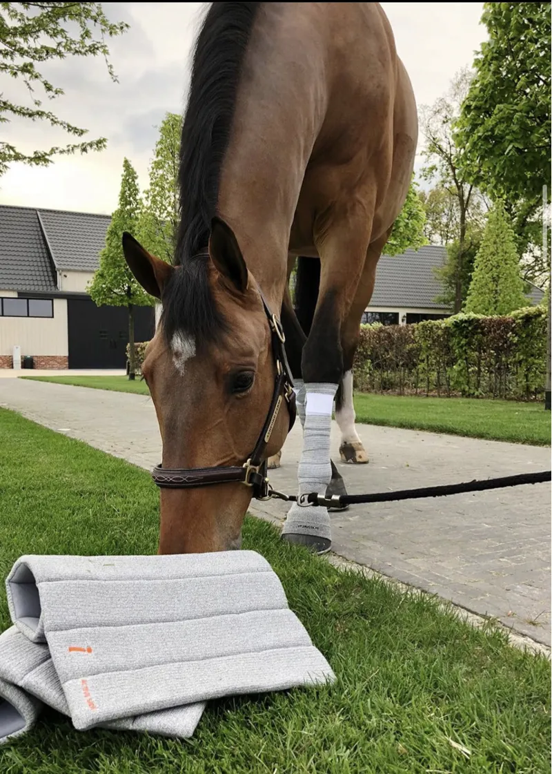 Incrediwear Equine Circulation Standing Wraps-2