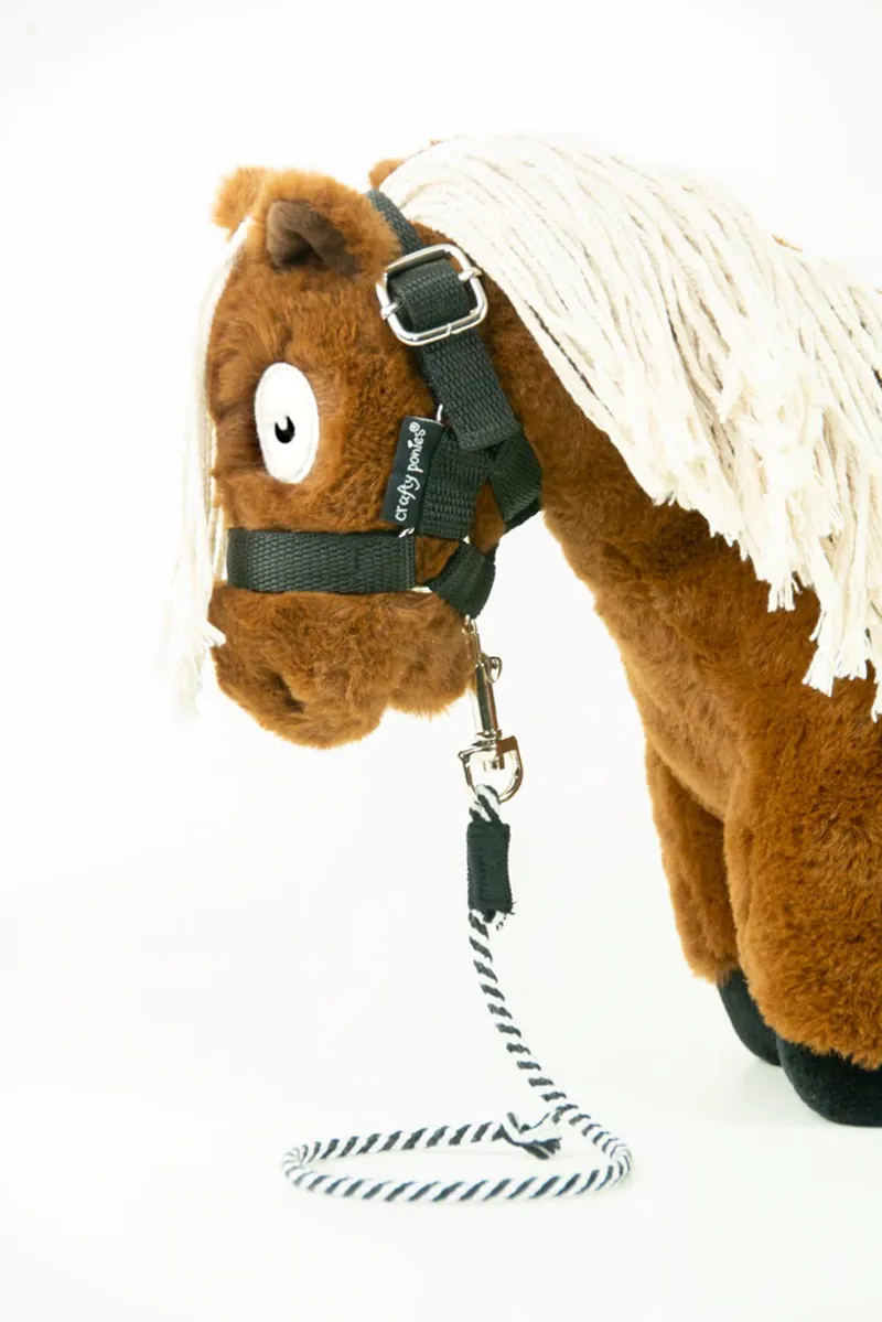 Crafty Ponies Lead Rope Black-1
