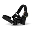 Crafty Ponies Headcollar Black