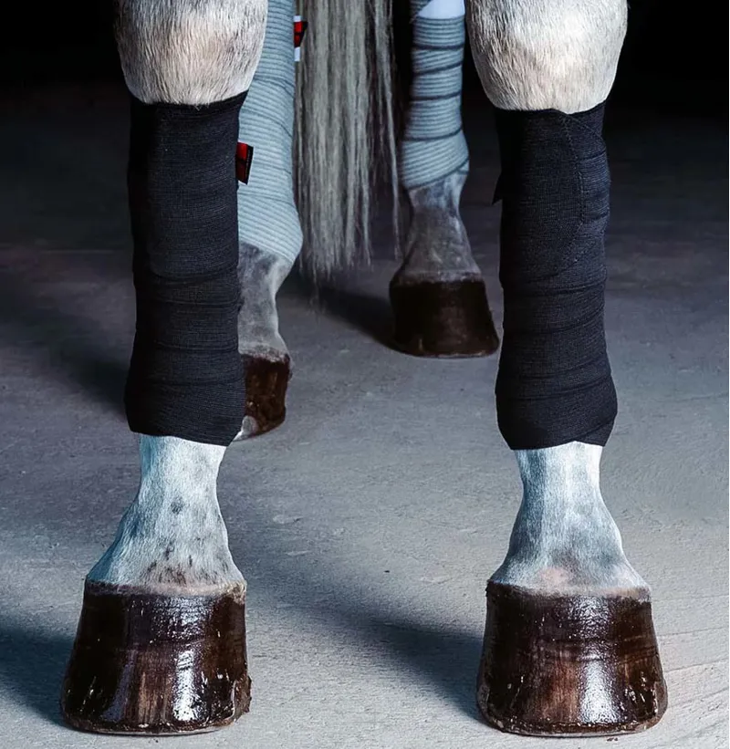 Incrediwear Equine Circulation Exercise Bandages Black