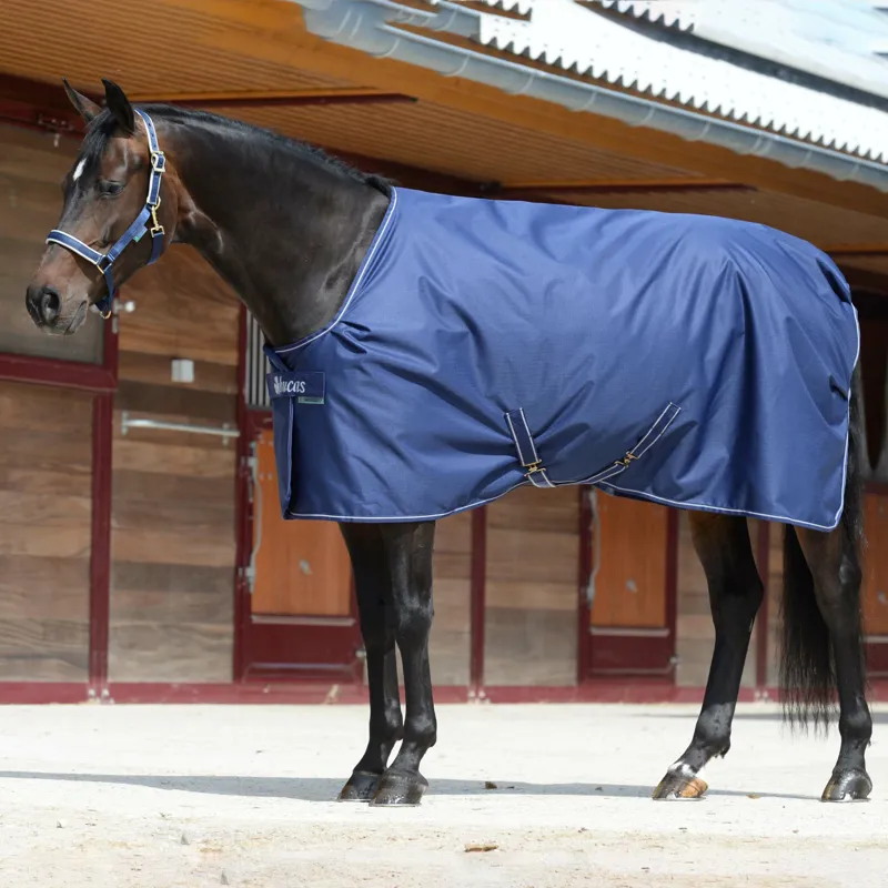 Bucas Irish Light Stable Rug 50g Navy-1