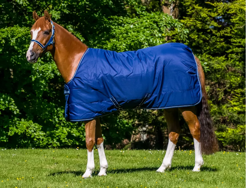 Bucas Irish Light Stable Rug 50g Navy-2