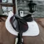 Kentucky Horsewear Saddle Pad Classic SJ White