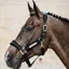 Kentucky Horsewear Velvet Halter Black