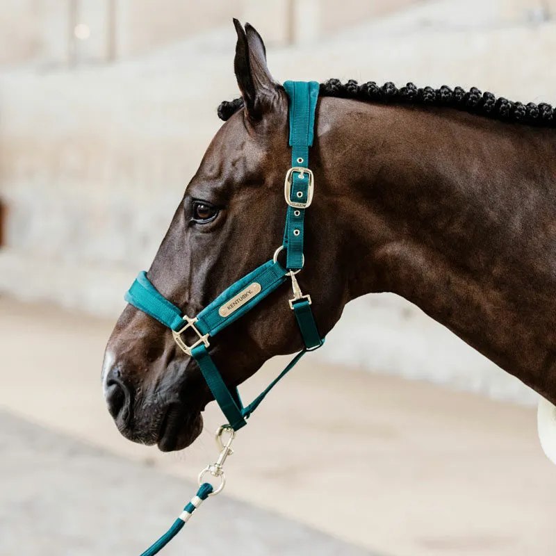 Kentucky Horsewear Velvet Headcollar Emerald