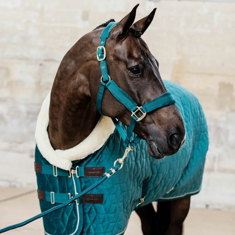 Kentucky Horsewear Velvet Headcollar Emerald-3
